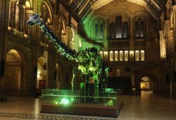 Natural History Museum, Londen