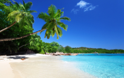 Reizen en vakantie in de Seychellen