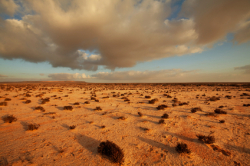 Reizen en vakantie in de Westelijke Sahara
