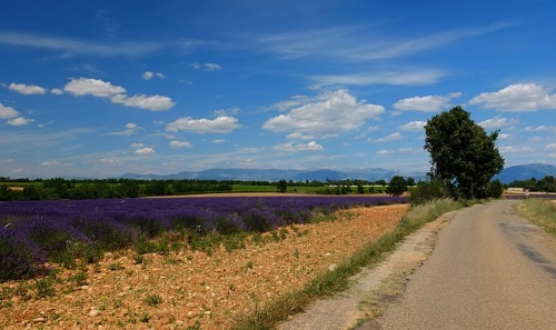 Plattelandweg Frankrijk