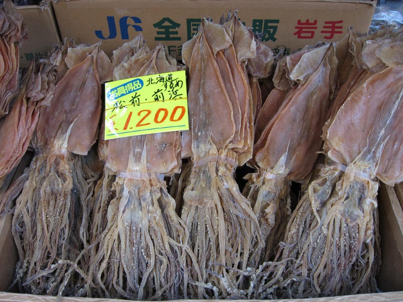 Zeekatten op Tsukiji Vismarkt
