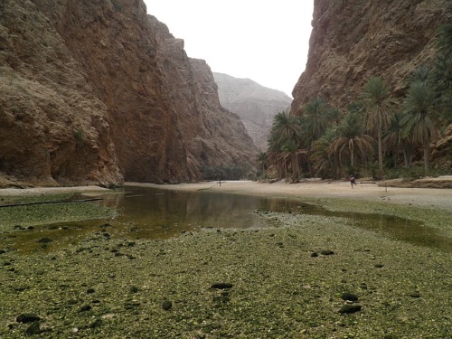 Hoogtepunten vakantie in Oman
