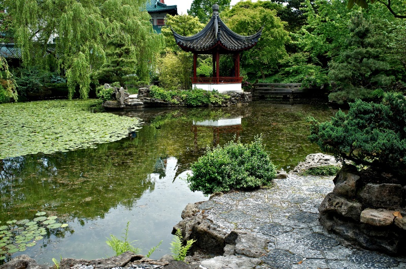 Vijver Sun Yat-Sen Chinese Garden, Vancouver