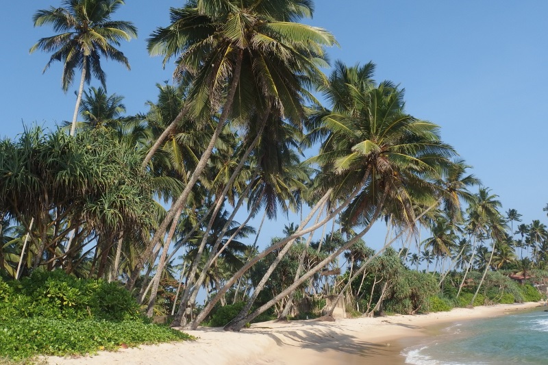 Stranden van Sri Lanka