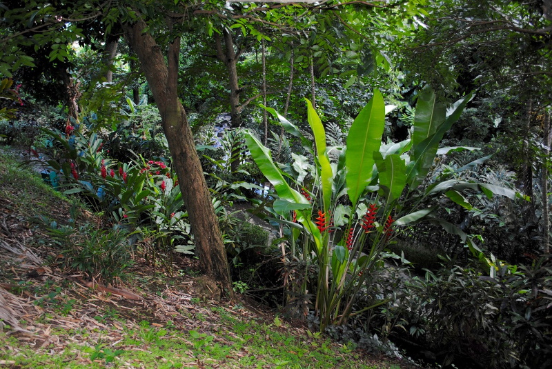 Grenada natuur
