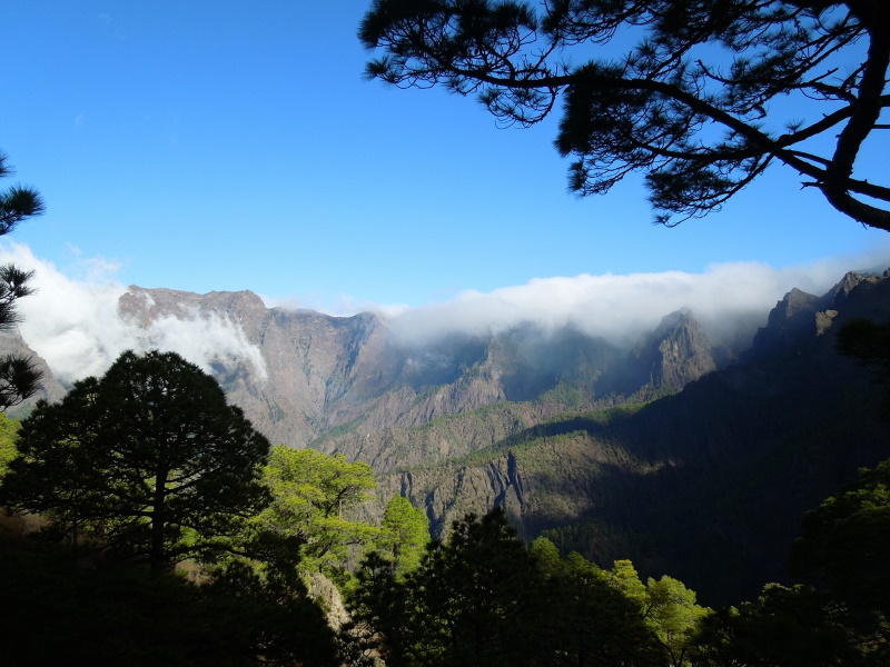 La Palma natuur