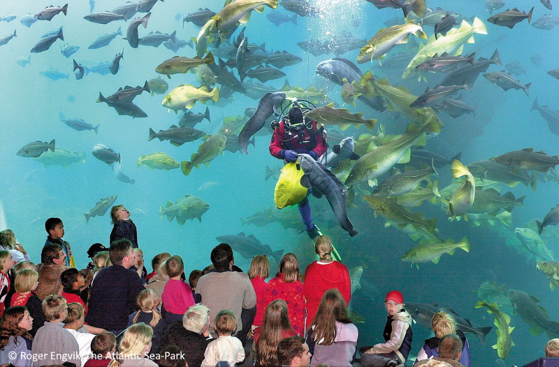 Alesund aquarium