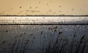 Lauwersmeer wat te doen