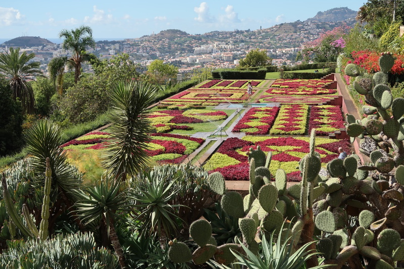 Botanische tuin in Madeira
