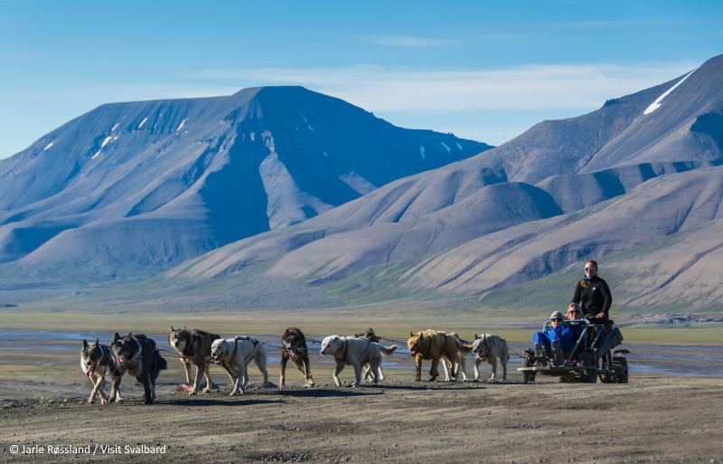 Spitsbergen hondenslee