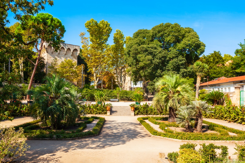 Montpellier botanische tuin