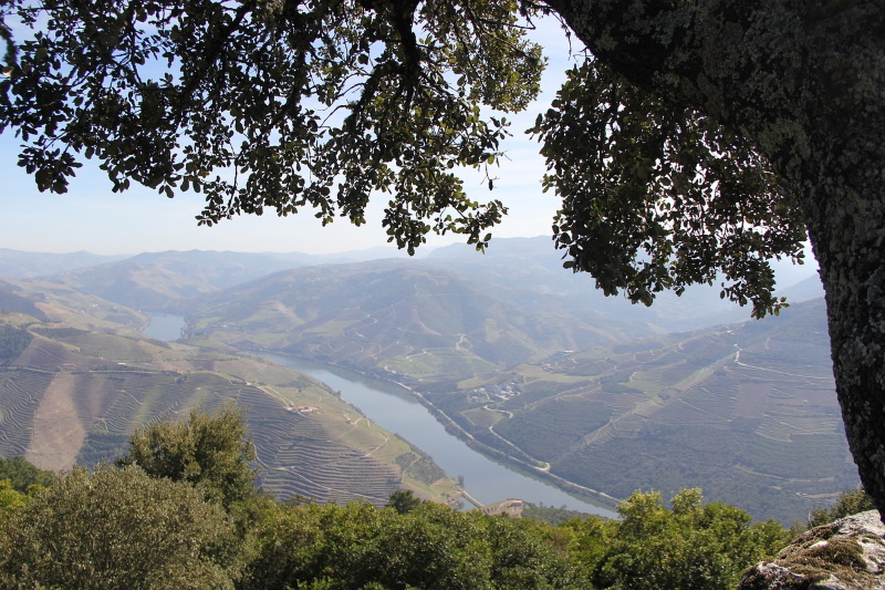 Douro vallei uitzicht