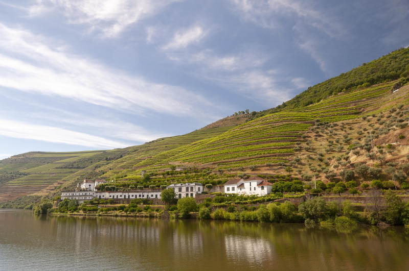 Douro vallei wijn