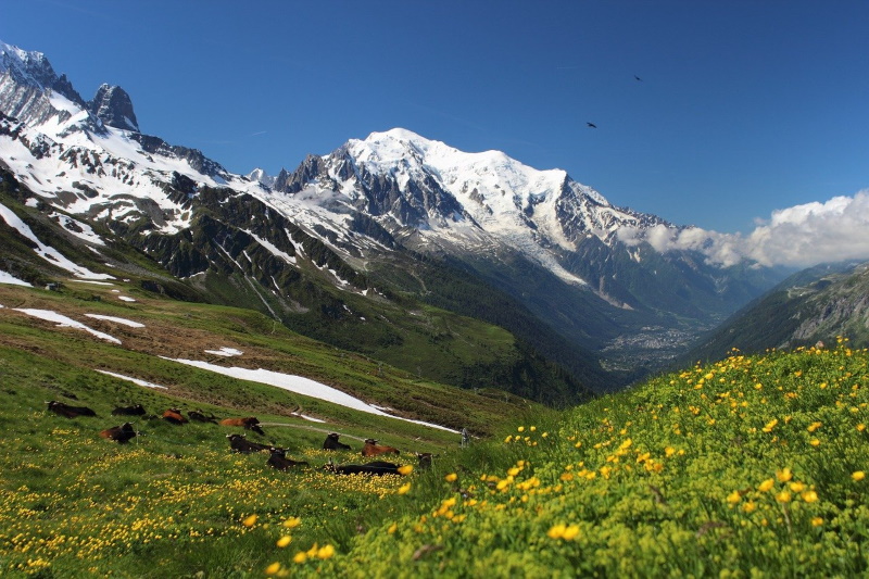 Mont Blanc trekking bij Chamonix