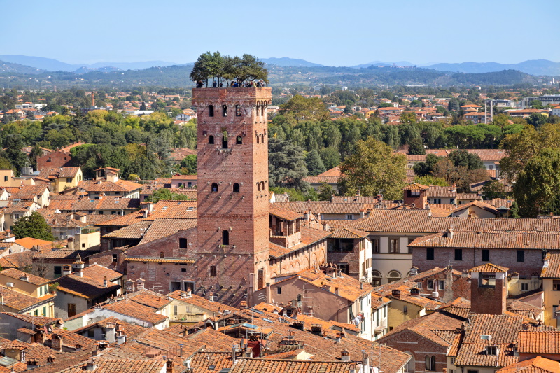 Guinigi toren in Lucca