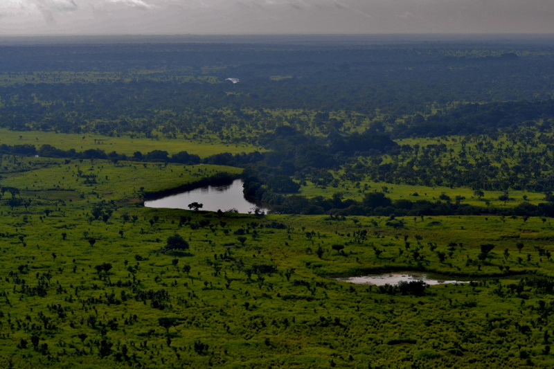 Garamba Nationaal Park in Congo