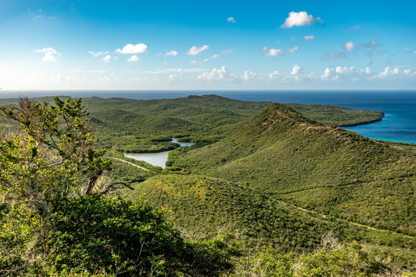 Curaçao natuur