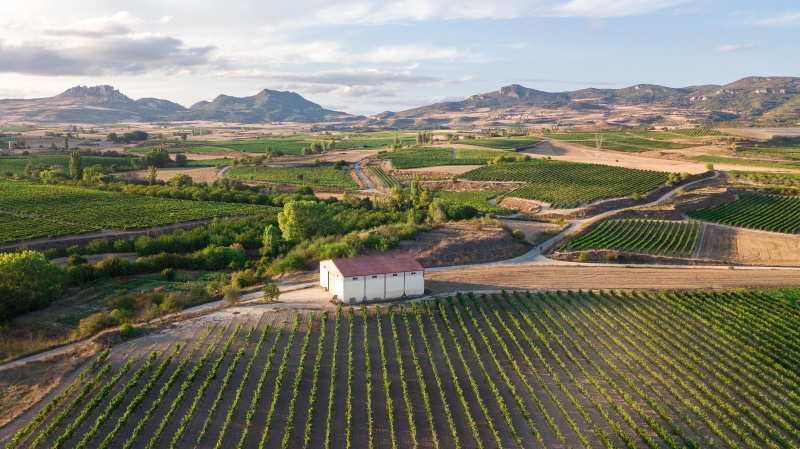 Spanje roadtrip Rioja