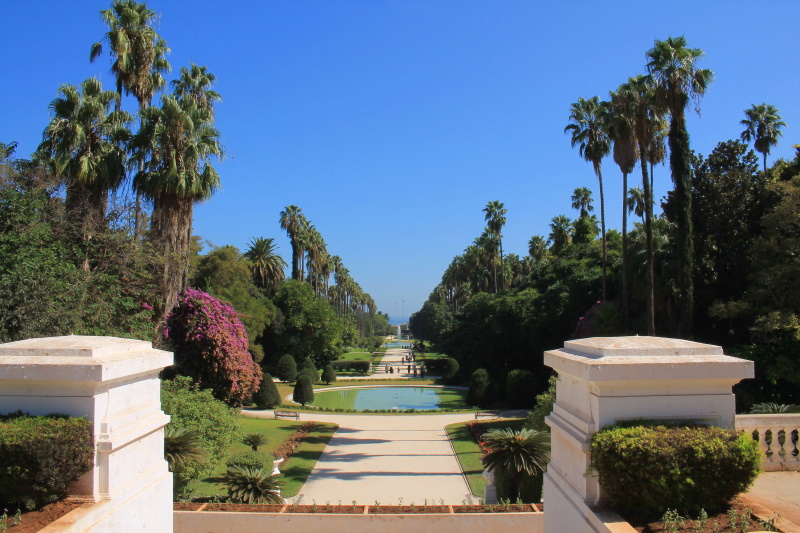 Botanische tuin in Algiers in Algerije