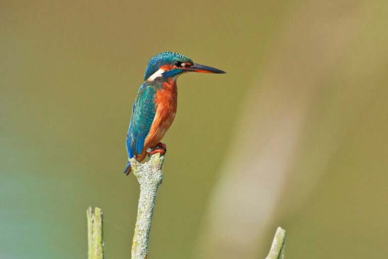 Wat te doen in Almere: 20 tips! | Wereldreizigersclub