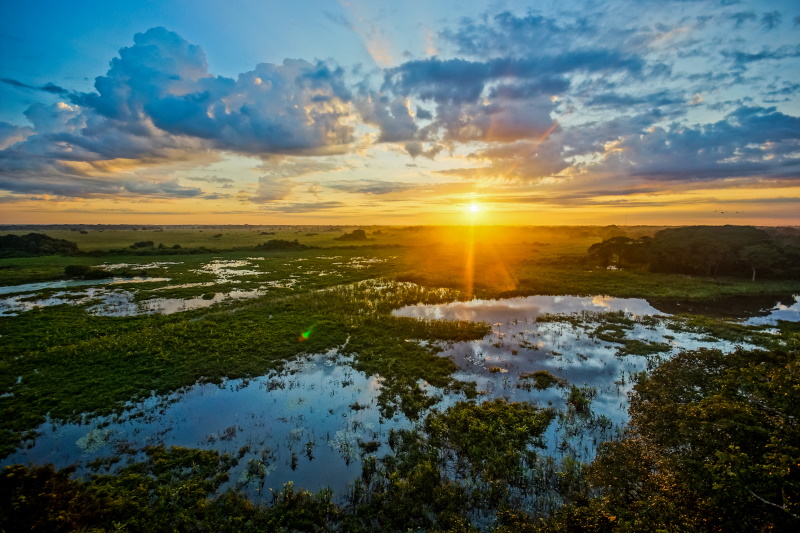 Brazilië Pantanal