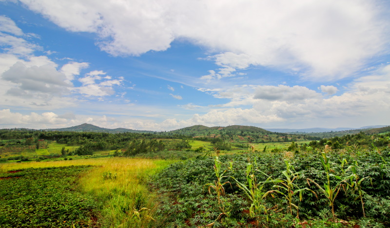 Burundi landschap Gitega