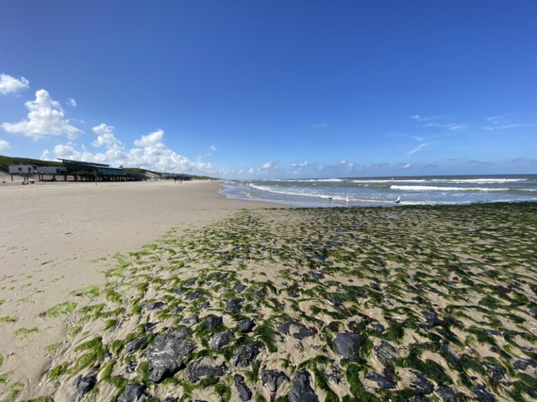 Wat te doen in Callantsoog 10 tips! Wat te doen in Callantsoog 10 tips!