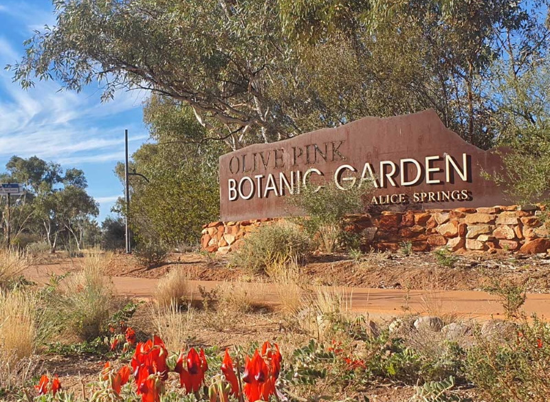 Alice Springs botanische tuin