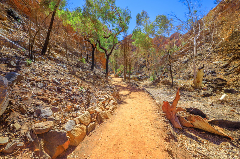 Alice Springs Larapinta Trail