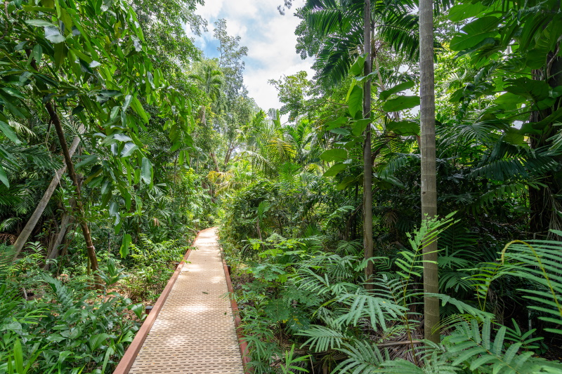 Darwin botanische tuin
